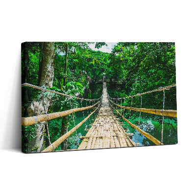 Vászonkép nyomtatás 30x20 Híd az erdőben a Fülöp-szigeteken