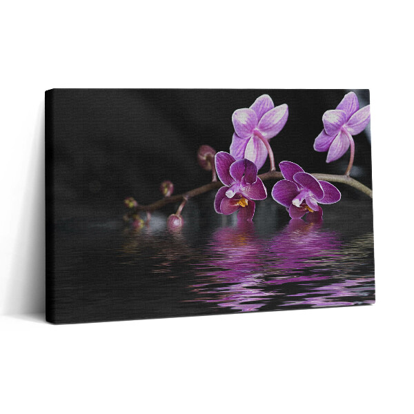 Vászonkép nyomtatás 30x20 Rózsaszín orchidea virág a vízen