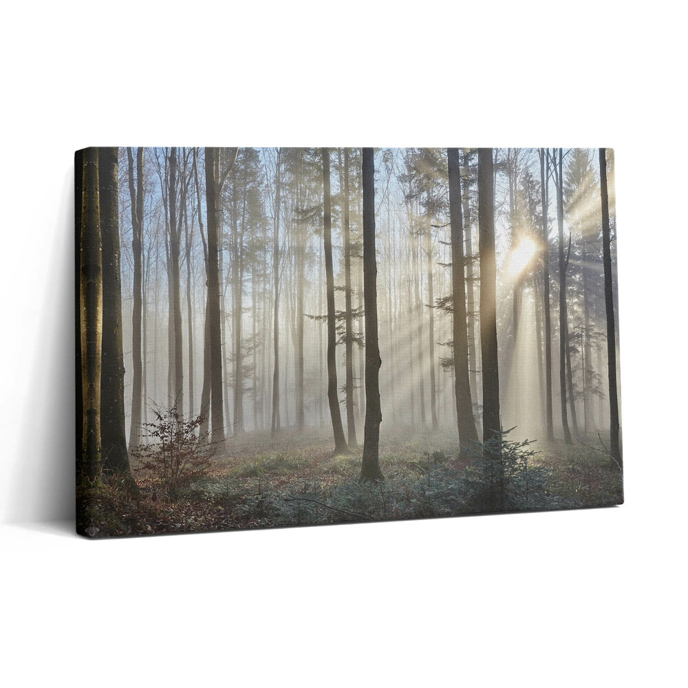 Vászonkép nyomtatás 30x20 Erdő a ködben