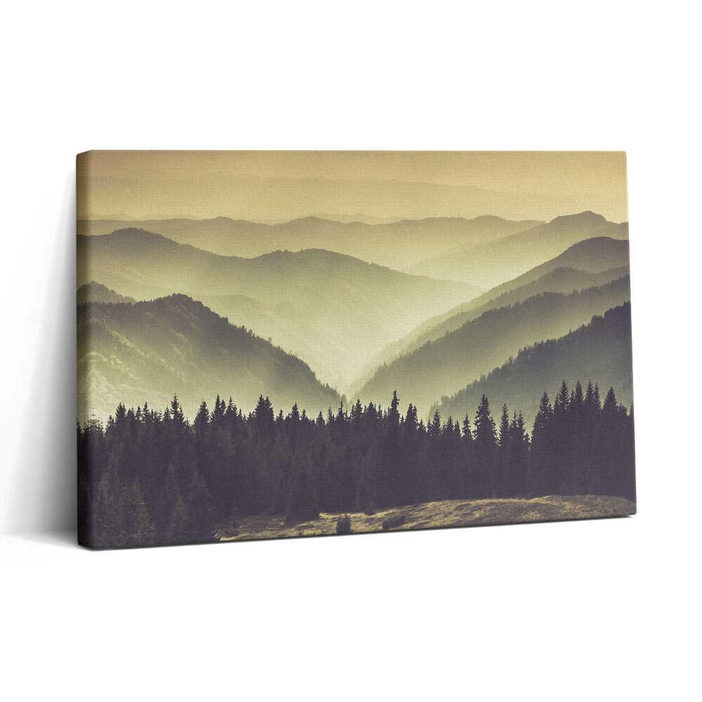 Vászonkép nyomtatás 30x20 Ködös hegyoldal