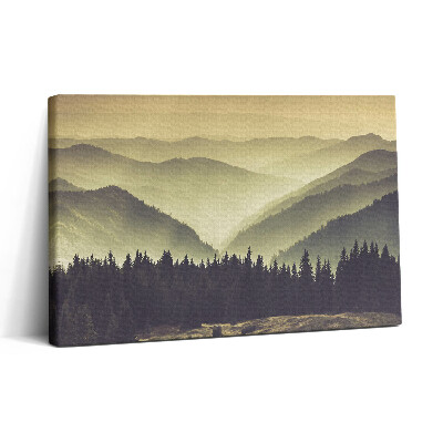 Vászonkép nyomtatás 30x20 Ködös hegyoldal