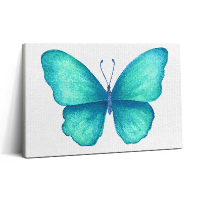 Vászonkép nyomtatás 30x20 Türkizkék nyári pillangó