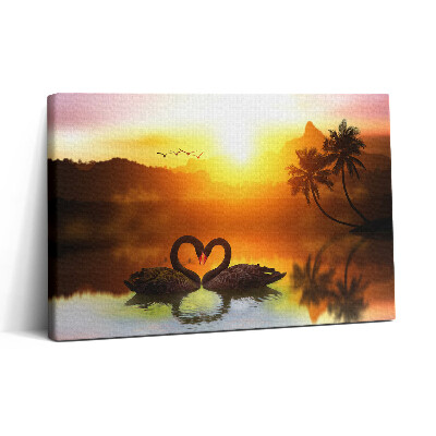 Vászonkép nyomtatás 30x20 Gyönyörű fekete hattyú a tavon