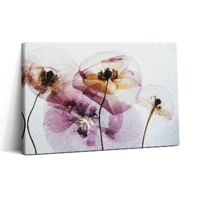 Vászonkép nyomtatás 30x20 Szárított mákvirágok
