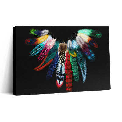 Vászonkép nyomtatás 30x20 Színes madártollak