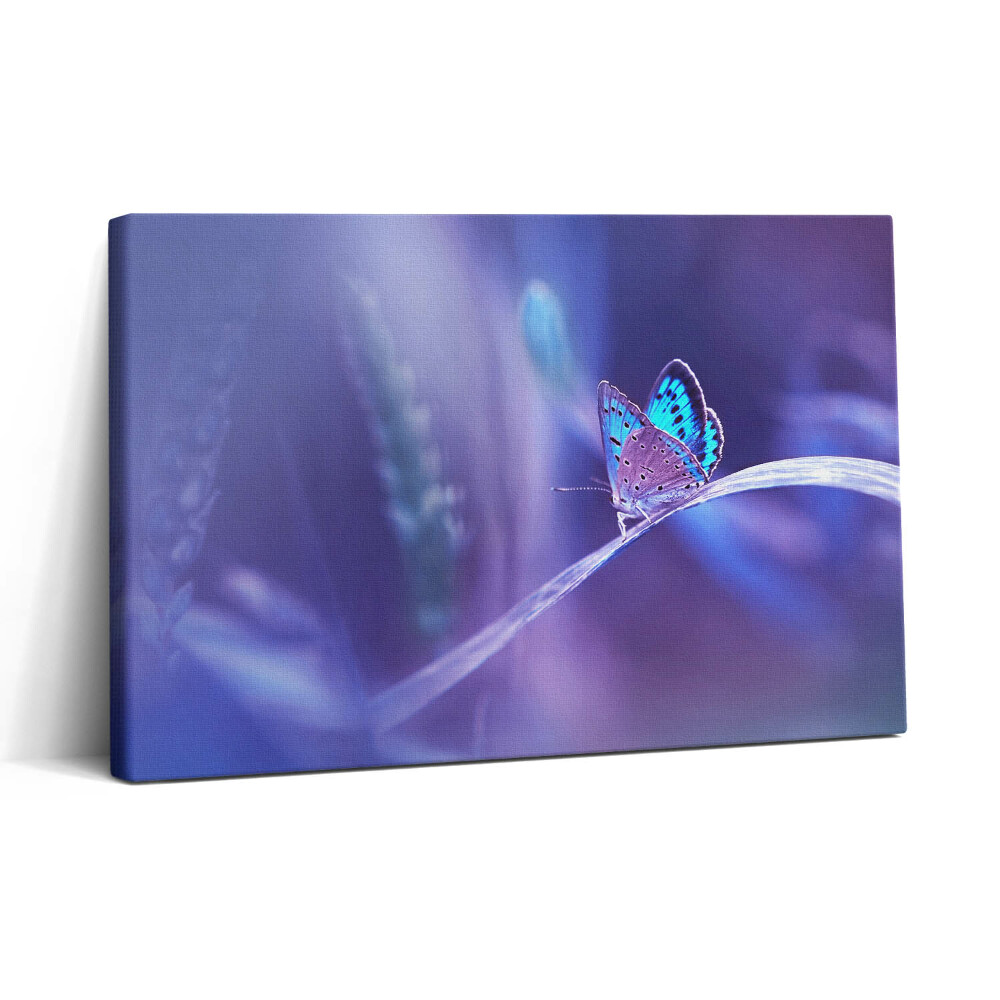 Vászonkép nyomtatás 30x20 Pillangó a fűben