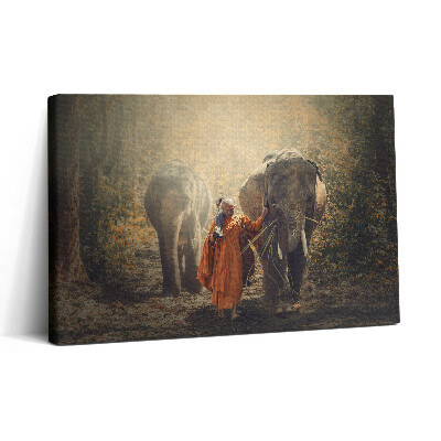 Vászonkép nyomtatás 30x20 Szerzetes és elefántok