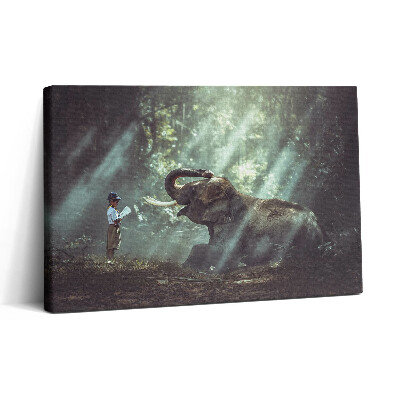 Vászonkép nyomtatás 30x20 Fiú könyvvel