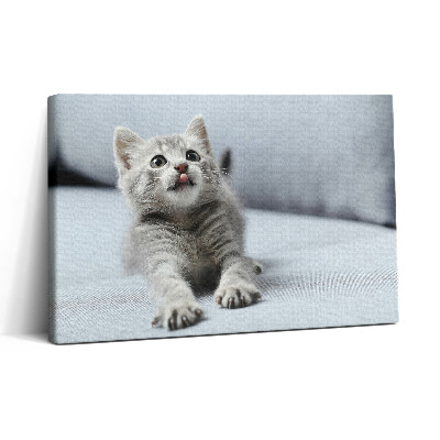 Vászonkép nyomtatás 30x20 Aranyos cica egy kanapén