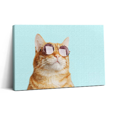 Vászonkép nyomtatás 30x20 Vicces macska szemüveggel
