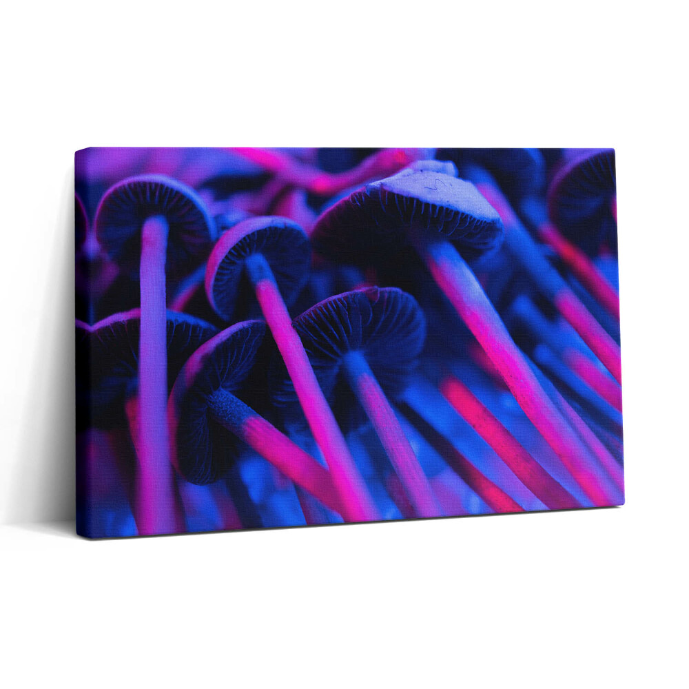 Vászonkép nyomtatás 30x20 Színes varázsgomba