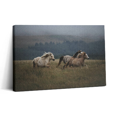 Vászonkép nyomtatás 30x20 Lovak galoppoznak felfelé
