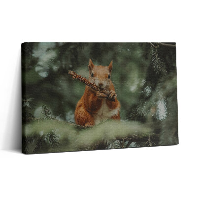 Vászonkép nyomtatás 30x20 Vadon élő mókus