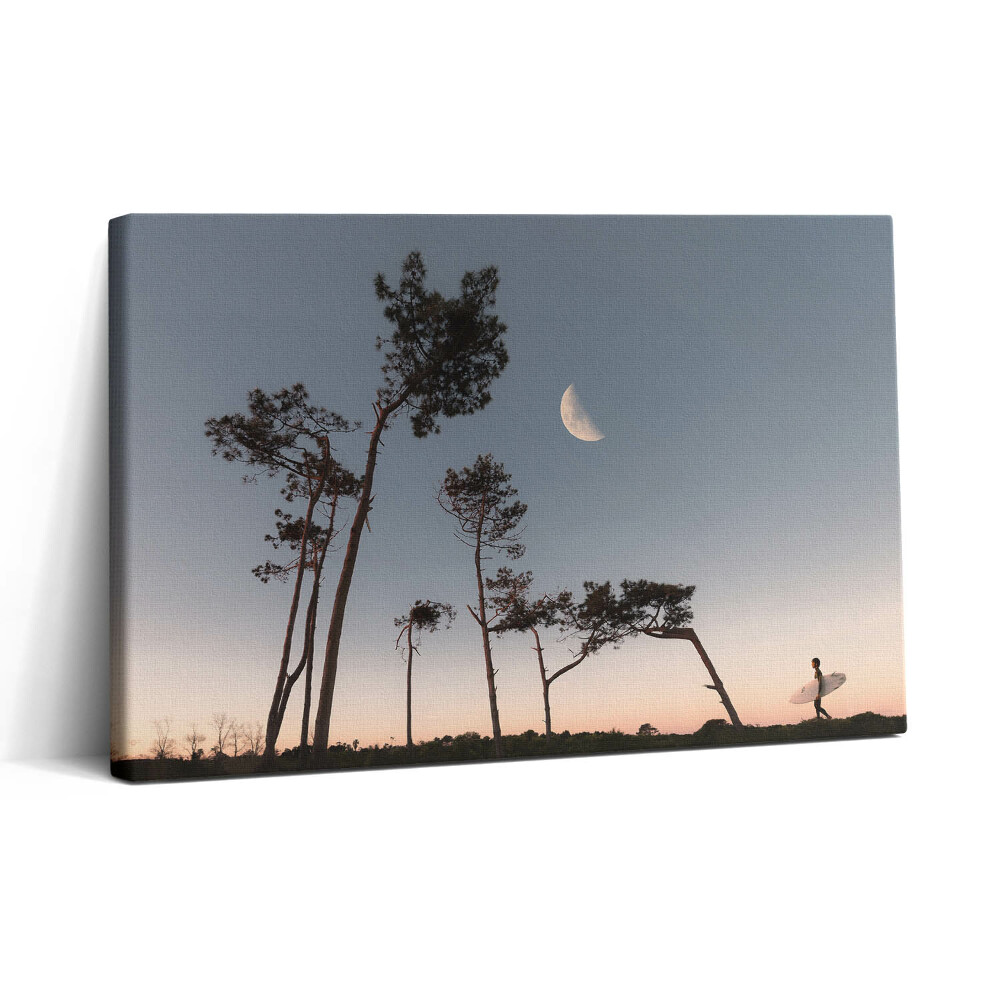 Vászonkép nyomtatás 30x20 Félhold és fák