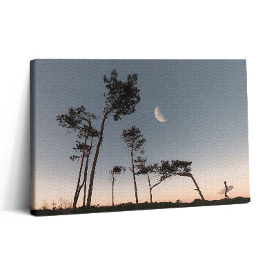 Vászonkép nyomtatás 30x20 Félhold és fák