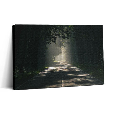 Vászonkép nyomtatás 30x20 Erdei út és napfénycsíkok