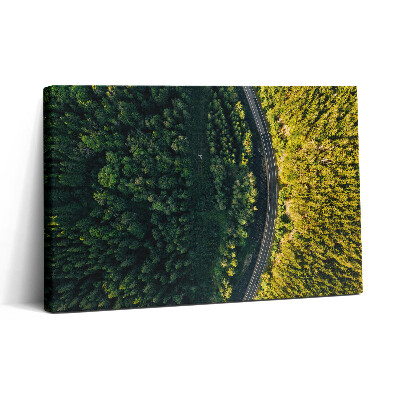 Vászonkép nyomtatás 30x20 Erdő drónról - Hóhegy