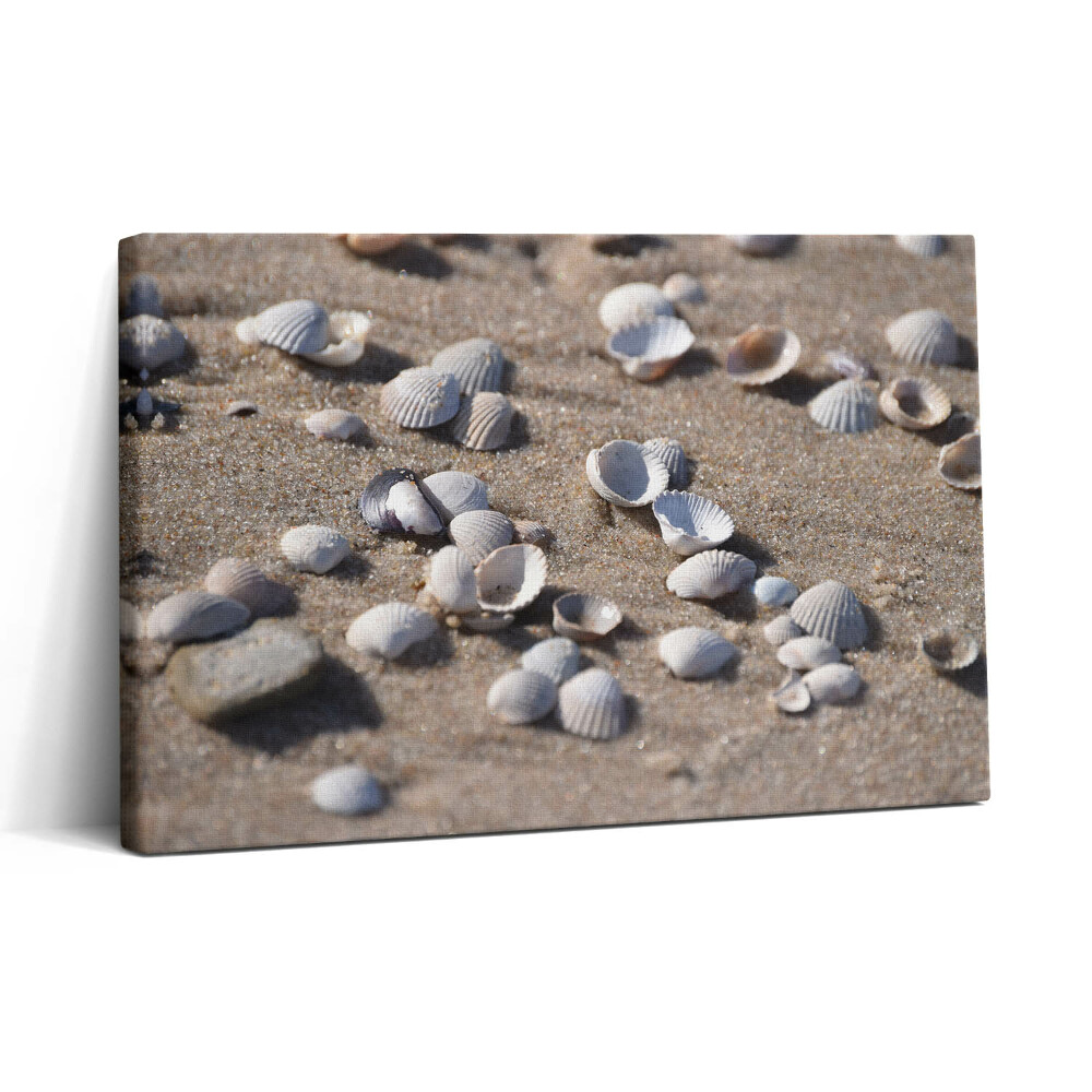 Vászonkép nyomtatás 30x20 Kagylók a tengerparton
