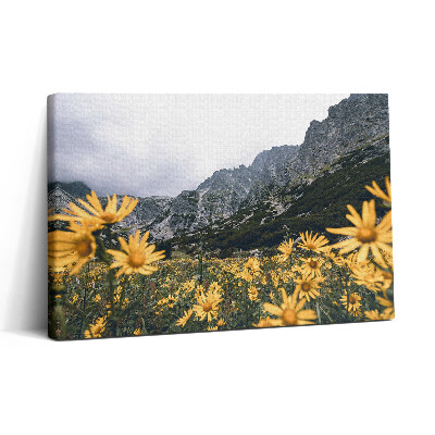 Vászonkép nyomtatás 30x20 Virágos rét a Tátrában