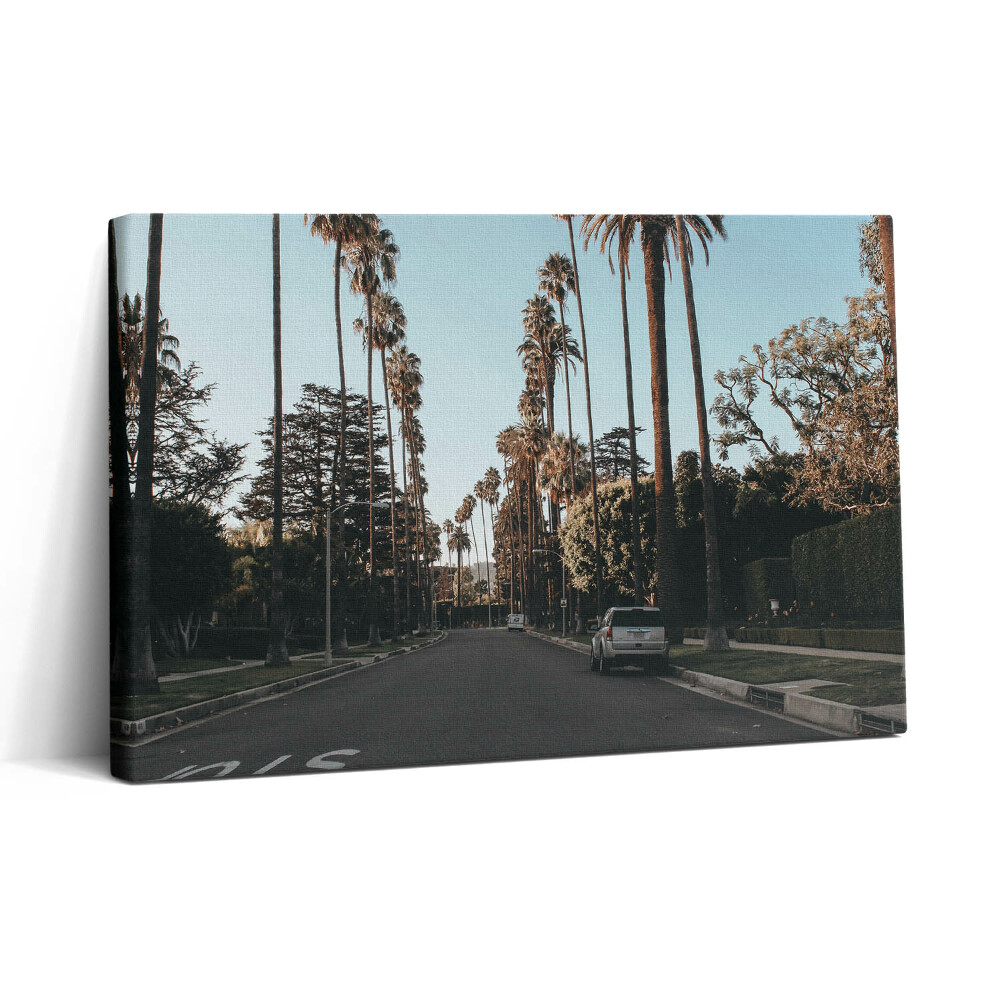 Vászonkép nyomtatás 30x20 Jármű az úton a fák között