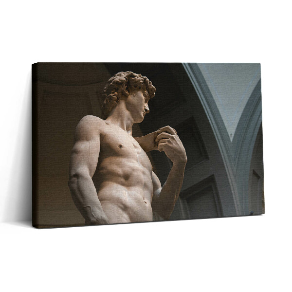 Vászonkép nyomtatás 30x20 Dávid szobra - Michelangelo