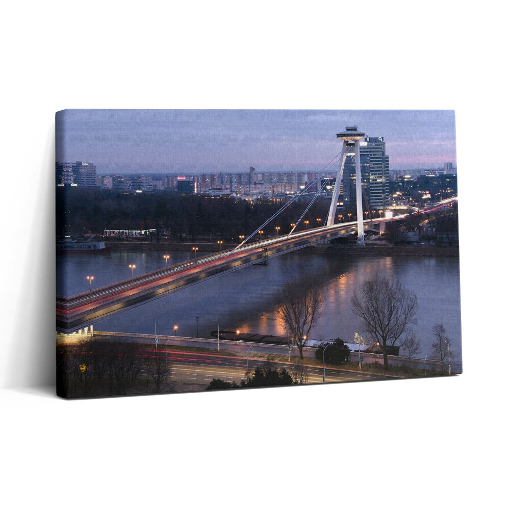 Vászonkép nyomtatás 30x20 UFO-híd a Duna felett Pozsonyban