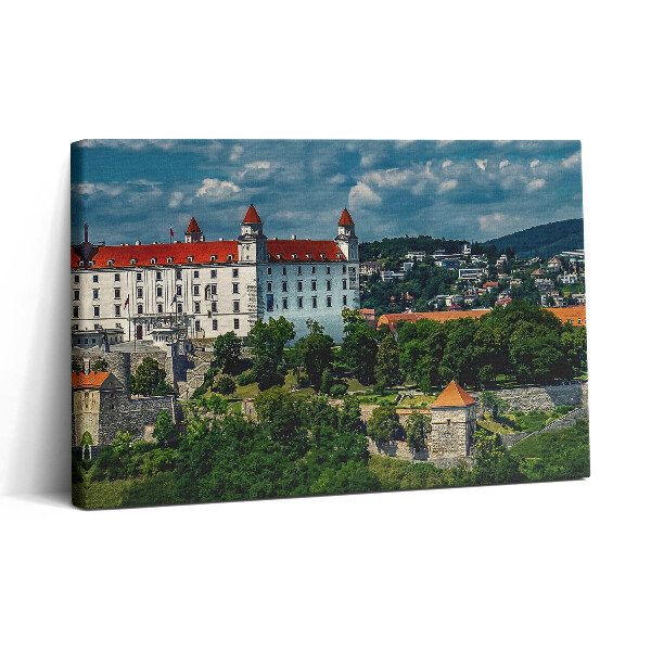 Vászonkép nyomtatás 30x20 Pozsonyi vár