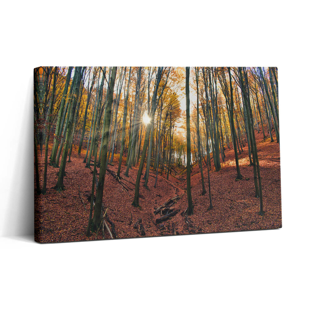 Vászonkép nyomtatás 30x20 Naplemente és fák