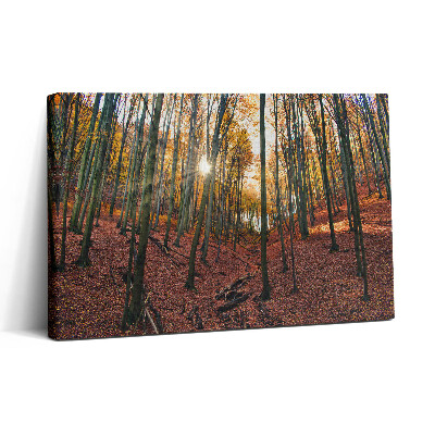 Vászonkép nyomtatás 30x20 Naplemente és fák