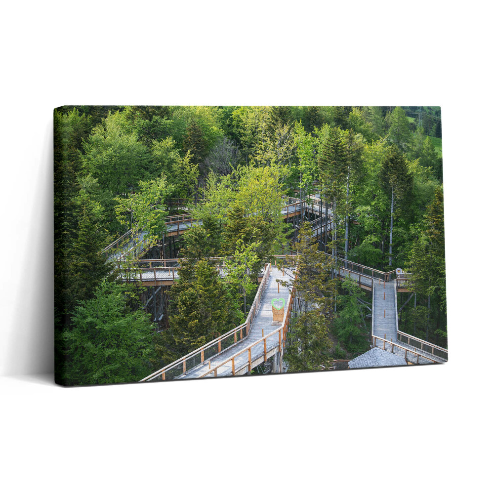 Vászonkép nyomtatás 30x20 Ösvény Krynica Zdrojban