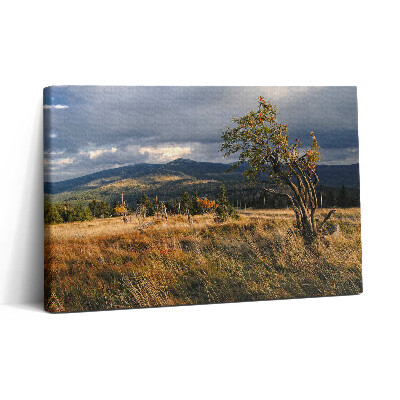 Vászonkép nyomtatás 30x20 Óriási hegyek ősszel