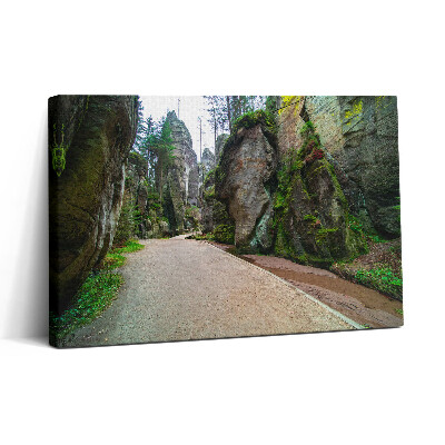 Vászonkép nyomtatás 30x20 Sziklaváros a Cseh Köztársaságban