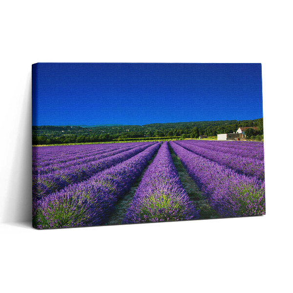 Vászonkép nyomtatás 30x20 Levendulamező Provence-ban