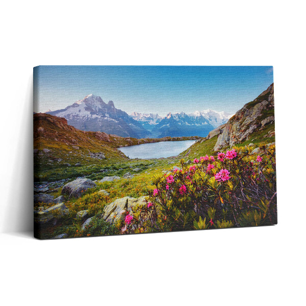 Vászonkép nyomtatás 30x20 Mont Blanc Chamonix-i gleccser