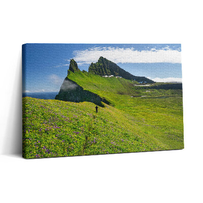 Vászonkép nyomtatás 30x20 Hornstrandir természetvédelmi terület Izlandon