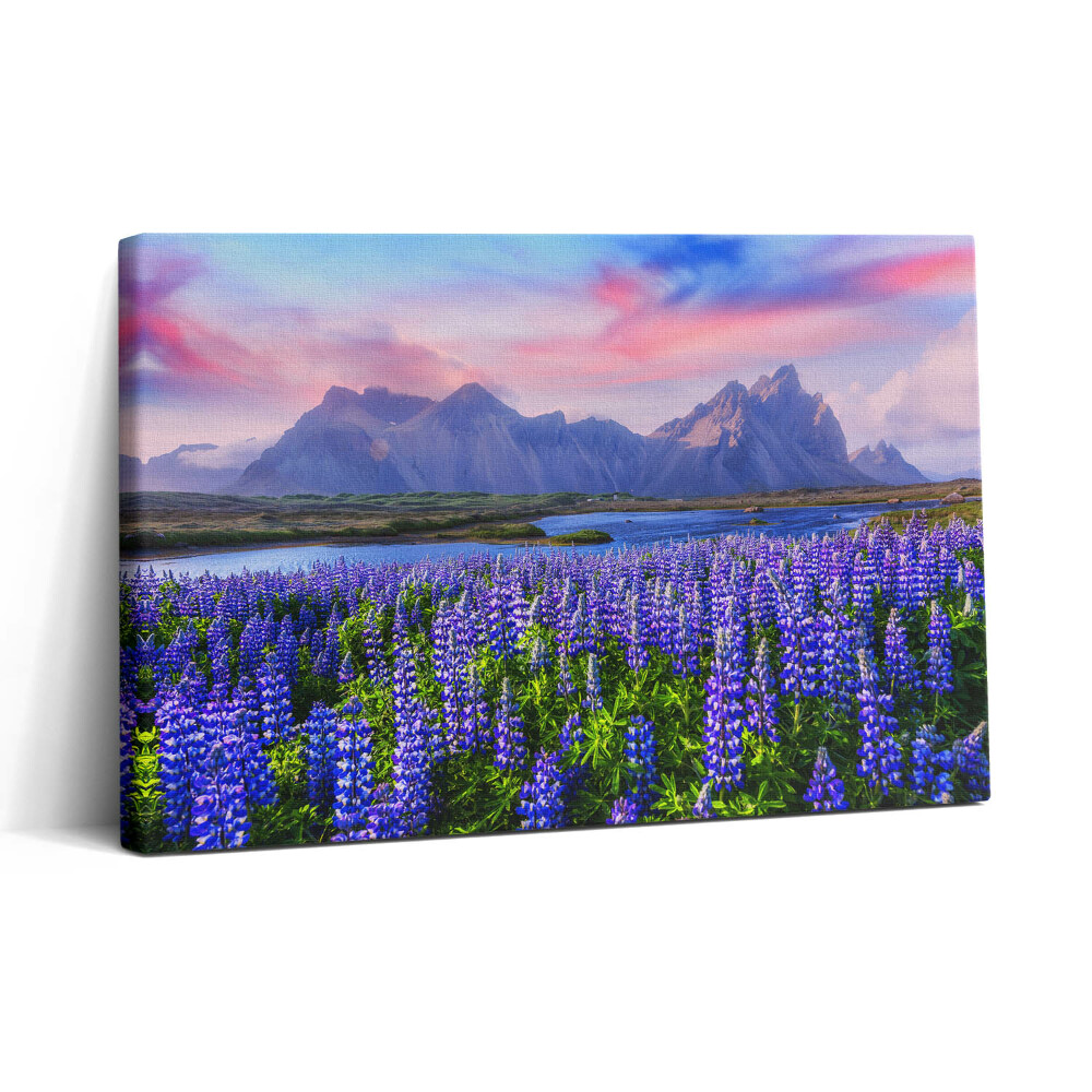 Vászonkép nyomtatás 30x20 Levendulamezők - Izland