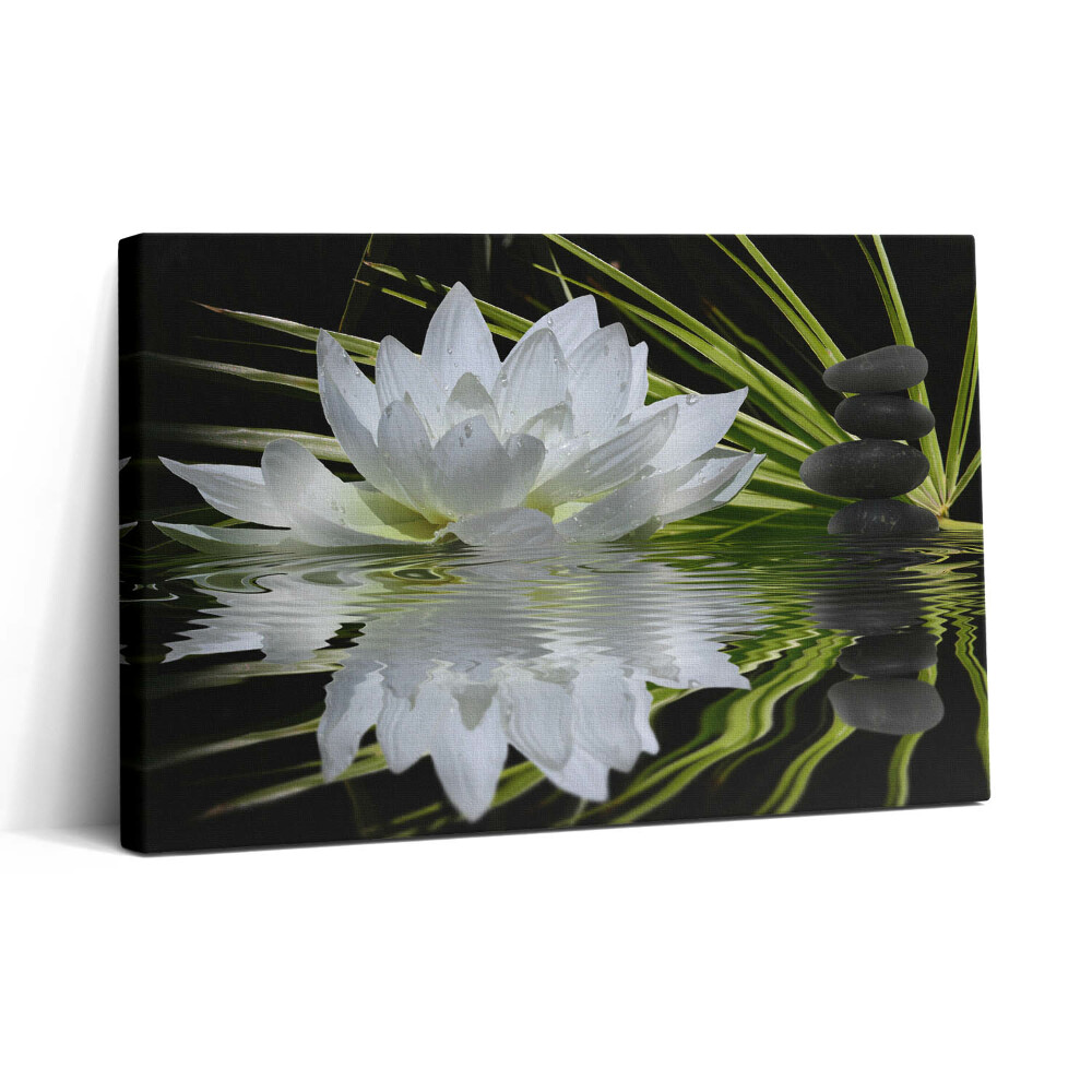 Vászonkép nyomtatás 30x20 Tavirózsa és levelek