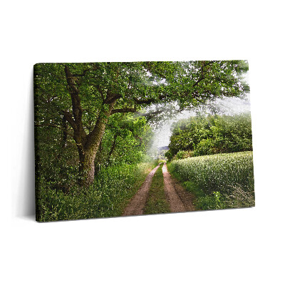 Canvas kép 60x40 Ösvényfák és napsütés