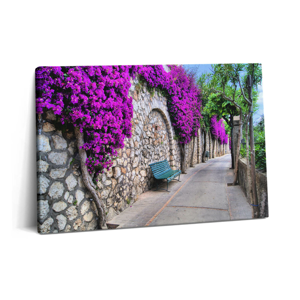 Canvas kép 60x40 Virágos út Capriból Olaszországból