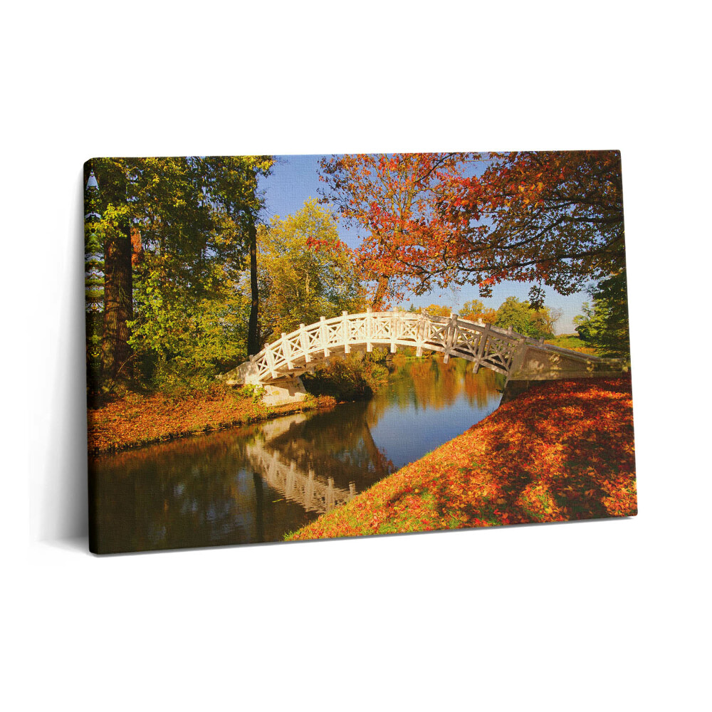Canvas kép 60x40 Woerlitzer Park aranyló ősszel