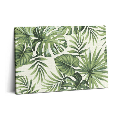 Canvas kép 60x40 Monstera levél illusztráció