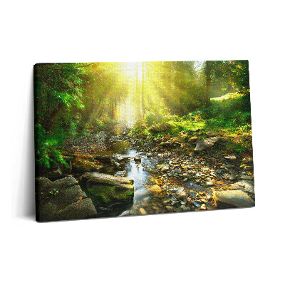 Canvas kép 60x40 Erdei patak a napfényben