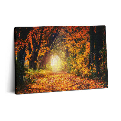 Canvas kép 60x40 Őszi levelekből álló erdei alagút