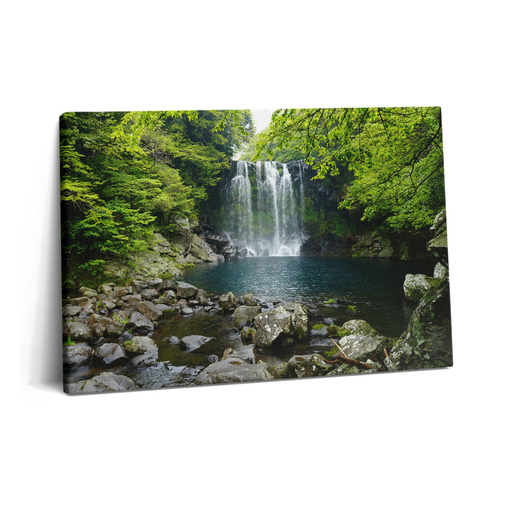 Canvas kép 60x40 Vízesés és folyó a fák között