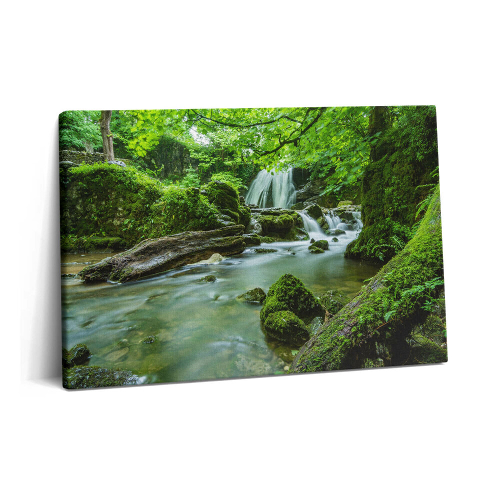 Canvas kép 60x40 Vízesés a vad dzsungelben