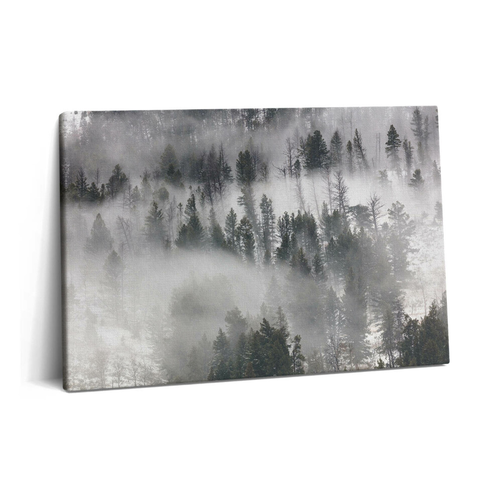 Canvas kép 60x40 Ködös erdei táj