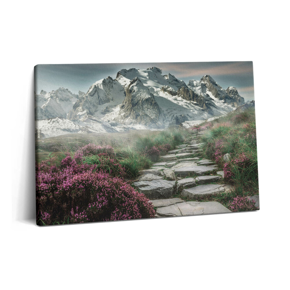 Canvas kép 60x40 Kőút a hegyekben