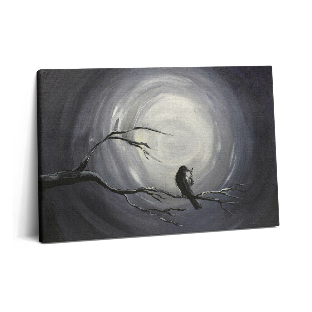 Canvas kép 60x40 Holló a holdfényben