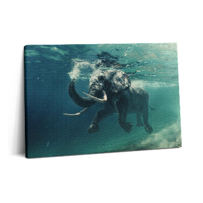 Canvas kép 60x40 Afrikai elefánt a vízben