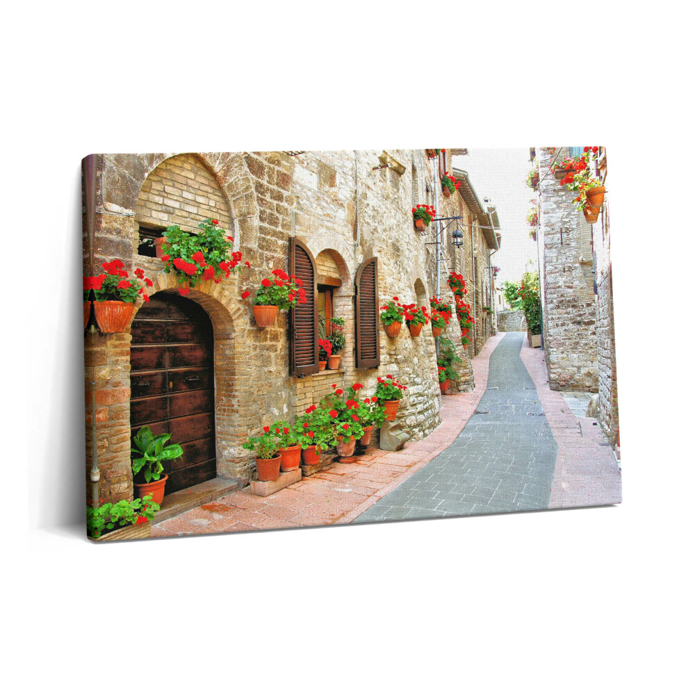 Canvas kép 60x40 Festői utca virágokkal